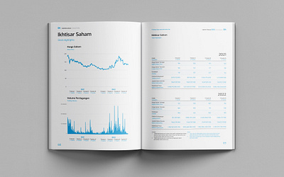 BeFa Annual Report 2022 annual report blue book book design corporate digitalization financial graphic design green grey illustration infographic layout publication shares sustainability table typography