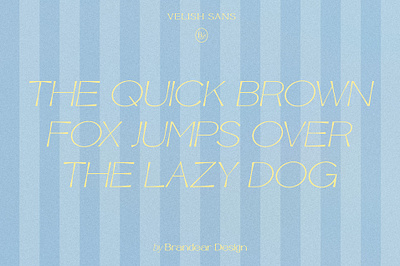 BD Velish Sans design font fontdesign graphic design logo typedesign typeface typography