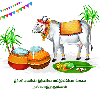 Mattu Pongal Poster animation branding design finearts graphic design illustration logo motion graphics photoshop ui