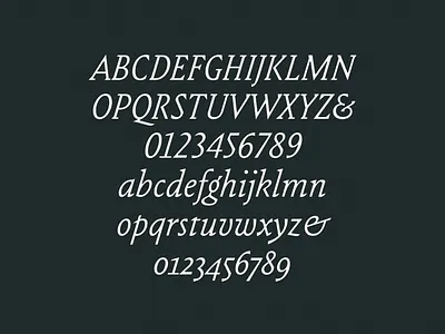 Renatus Italic branding collage graphic design typography