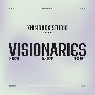 visionaries font font