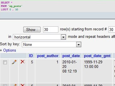 WordPress Posts Table database phpmyadmin wordpress