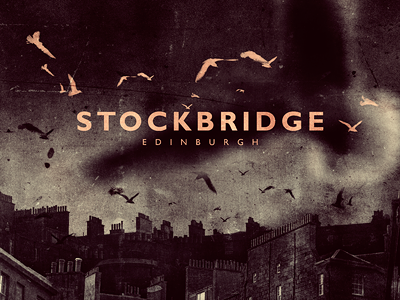 Stockbridge Edinburgh birds chimneys dark edinburgh montage rooftops seagulls stockbridge