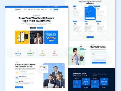 HYIP Investment Website UI Design business cms design graphic design ui ux website
