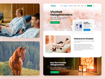 VivaSalt design drawingart halogenerator responsive room salt ui ux web website