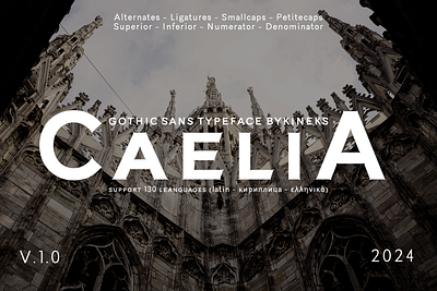 Caelia | Gothic Sans Typeface architectural font arrows glyphs case sensitive typography clean sans serif display font display typeface font font family global language support gothic sans gothic style font infographic font ligature heavy font poster design font print design font sharp edges typeface sticker font typeface typography typography enthusiast