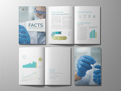 FACTS Folder BASG brochure folder graph health healthcare infographic layout