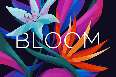 Bloom editorial illustration flat flowers graphic design ill illustration minimal vector