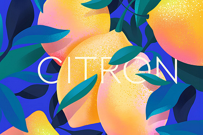 Citron citron editorial illustration flat fruit illustration lemon minimal vector