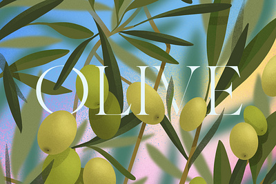 Olive botanical editorial illustration flat illustration minimal olive plants vector