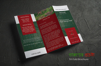 Tri-Fold Brochure branding brochure graphic design marketing