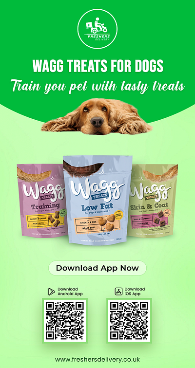 Online Delivery Email Template caninecuisine convenientpetcare dogcaresimplified dogfooddelivery dogfoodexpress dogfoodonlineshop doggiedelights doggiediet furryfriendmeals happyhealthydogs healthydogfood healthytails ogfoodonlineshop onlinedogfood orderforyourpup petfoodonline petparentlife puppylovemeals puppymeals uiux