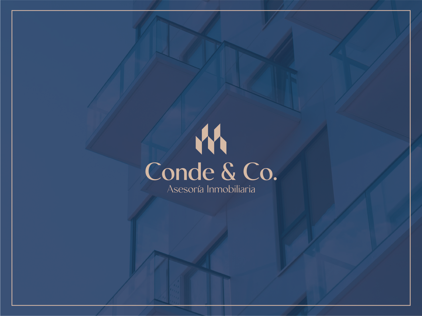 Example of Custom Branding & Logo Design + Manual