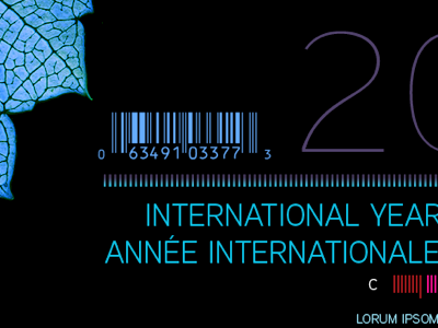 International aaux next black blue nature red type typography