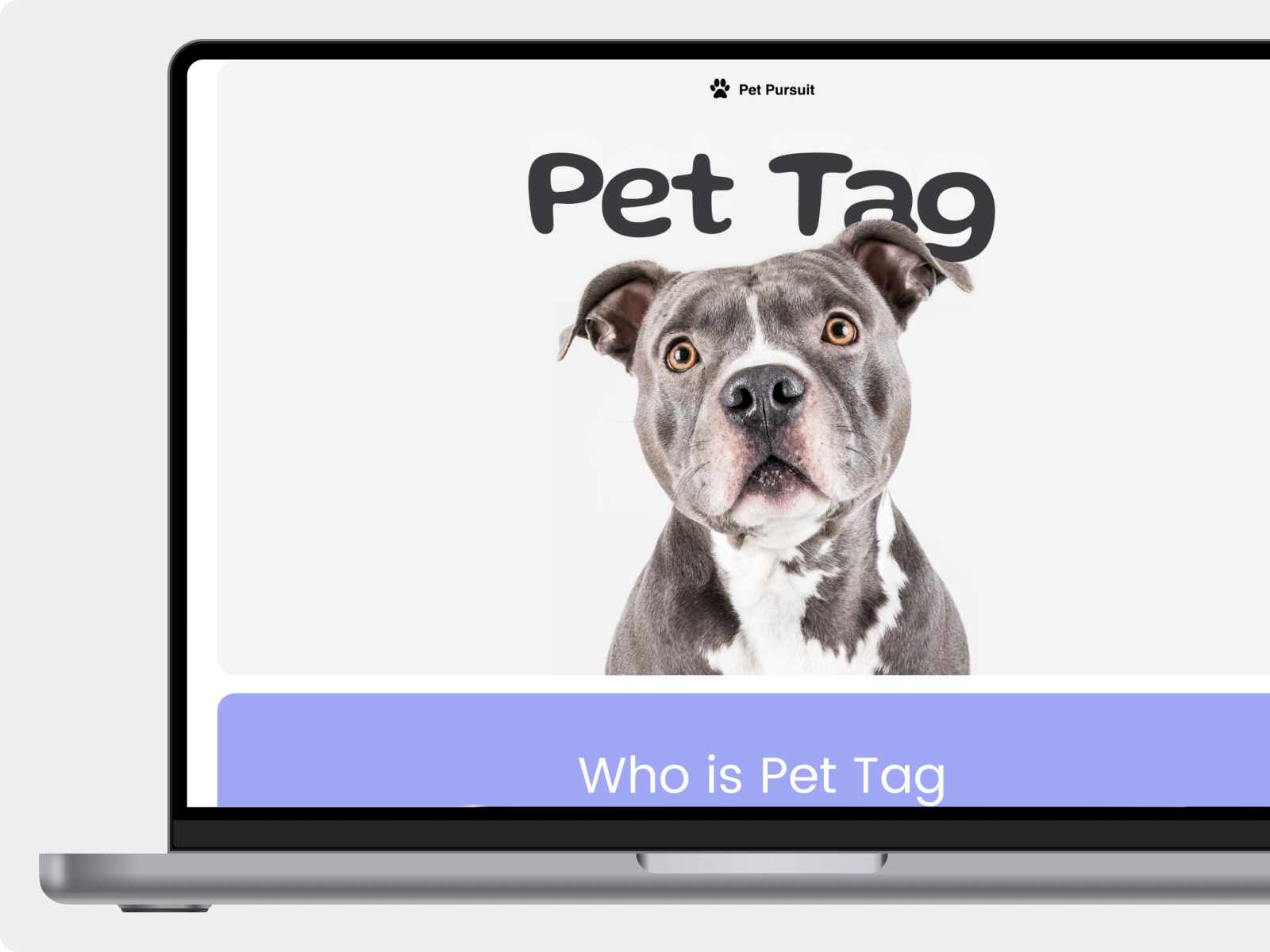 Pet Pursuit – Landing Page Design 🐾 by Akhil Venu on Dribbble