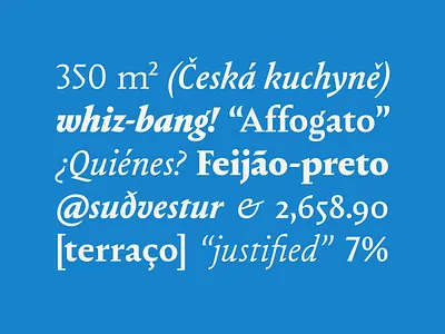 Renatus branding font graphic design typography