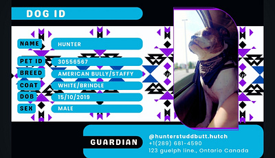 Pet ID Tag Design & Profile Page design layouts design templates designer dogs graphic design pet id tags ux design