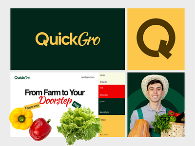 QuickGro: Logo & Brand Identity Design aerobrandingdesign brand design brand identity brandbook branding branding design design farm food logo graphic design grocery grocery shop healthy food logo logo mark logo type minimal online grocery redesign vegetable shop