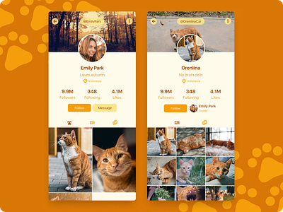 PetShare app cat dailyui orange pets ui