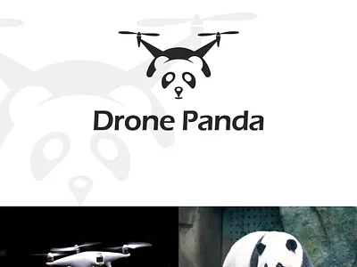 Drone with Panda - Logo Design. animal animals brand logo branding business creative drone flying graphic design logo design minimal minimalist music negative space panda redesign unique