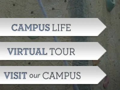 ARROW'D! arrows blue neutraface silver slab