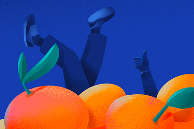 Oranges clementines design editorial illustration illustration minimal oranges