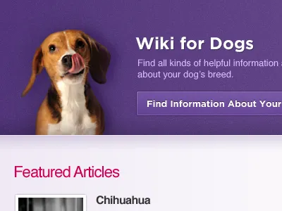 Burned Dog