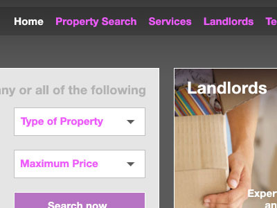 Visual for lettings agency grey purple visual website