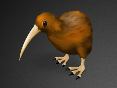 Kiwi app brown icon kiwi