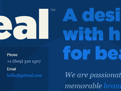 GetZeal big type blue bold georgia gotham opaque