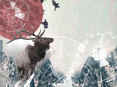 Elk Moon Illustration elk illustration moon mountains