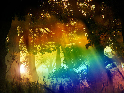 Magic Mist in the Forest... colorful gradients rainbow