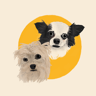 Dogs's portrait animallover animals art chihuahua dogportrait dogs dogslover illustration petlover portrait yorkie