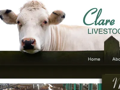 More Cow Bell? cows header graphic livestock