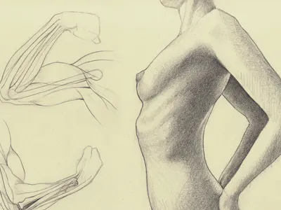 Sketching anatomy drawing sketch