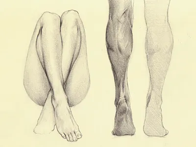 Sketching anatomy drawing sketch