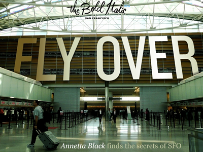 The Bold Italic: Fly Over knockout thebolditalic