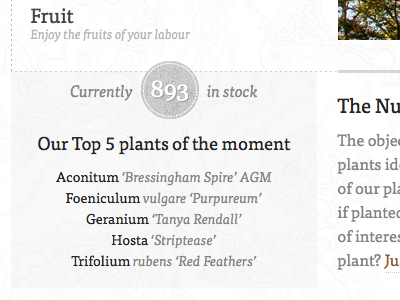 Currently 893 in stock build dashed serif top5 topography