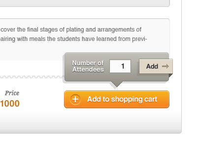 Add to shopping cart design interface orange ux website