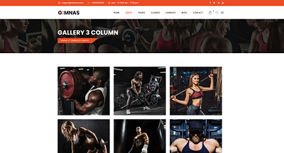 Website Template for DC Fit Gym at Calvin Medical template ui designer ux design