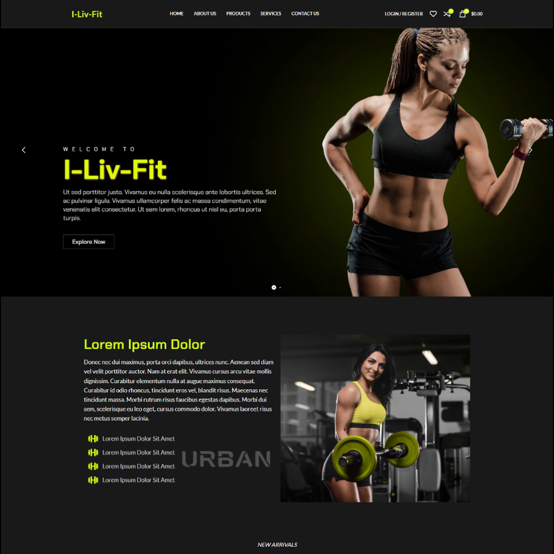 Example of Ecommerce Web Design Wordpess