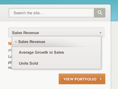 UI elements button fireworks interface orange search