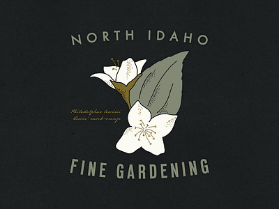 North Idaho Fine Gardening · Logo & creative content creative content design graphic design illustration logo vector