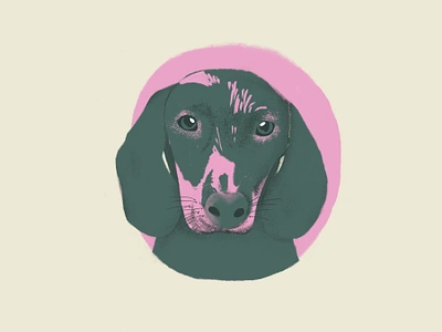 Dachshund love art dachshund dachshundlove dog dogportrait dogs illustrationdog ilustration perrosalchicha petlover salchicha