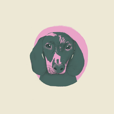 Dachshund love art dachshund dachshundlove dog dogportrait dogs illustrationdog ilustration perrosalchicha petlover salchicha