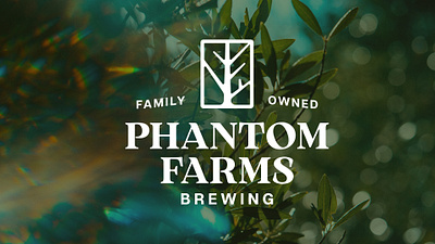 Phantom Farms Brewing Brand Identity apple tree beer brand branding brewing design farm heritage icon identity illustration lockup logos logotype mockup modern organic tree type typography