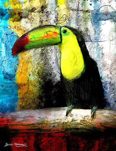 Toucan