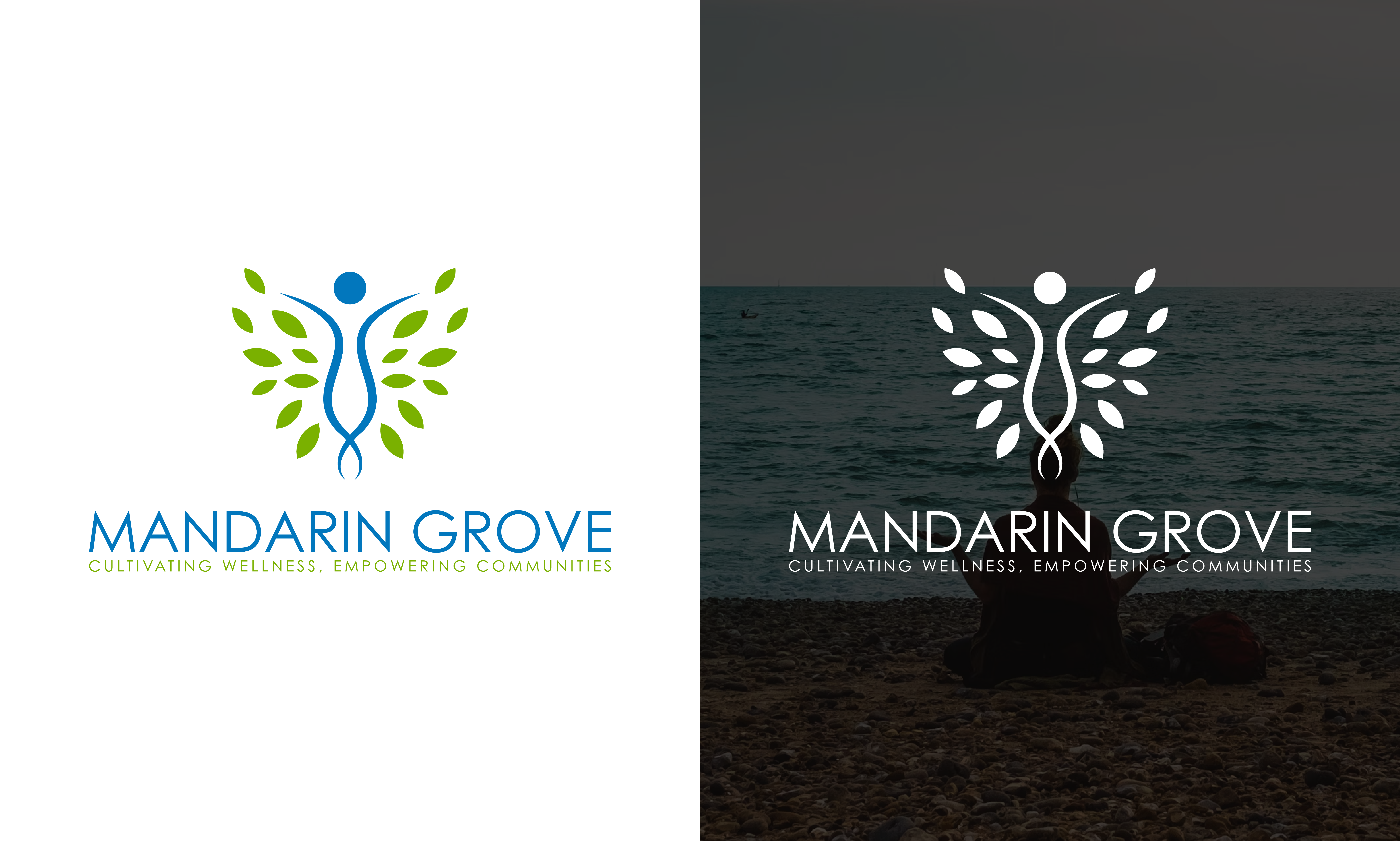 Example of Foundation Logo Design