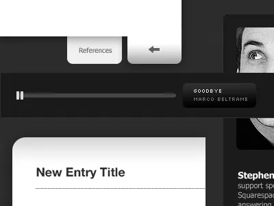 Standard squarespace web