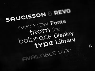 Saucisson & Revo type